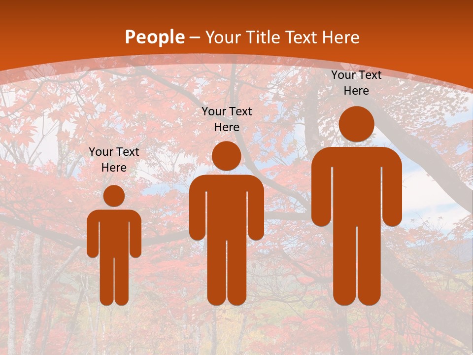 Pond Japanese Maple Orange PowerPoint Template