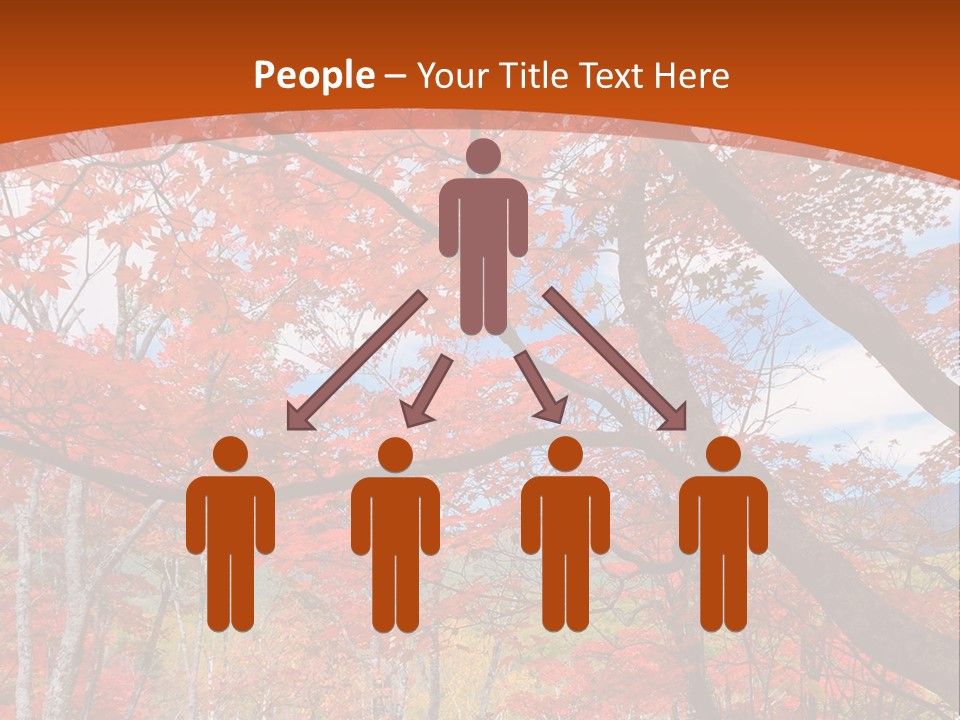 Pond Japanese Maple Orange PowerPoint Template