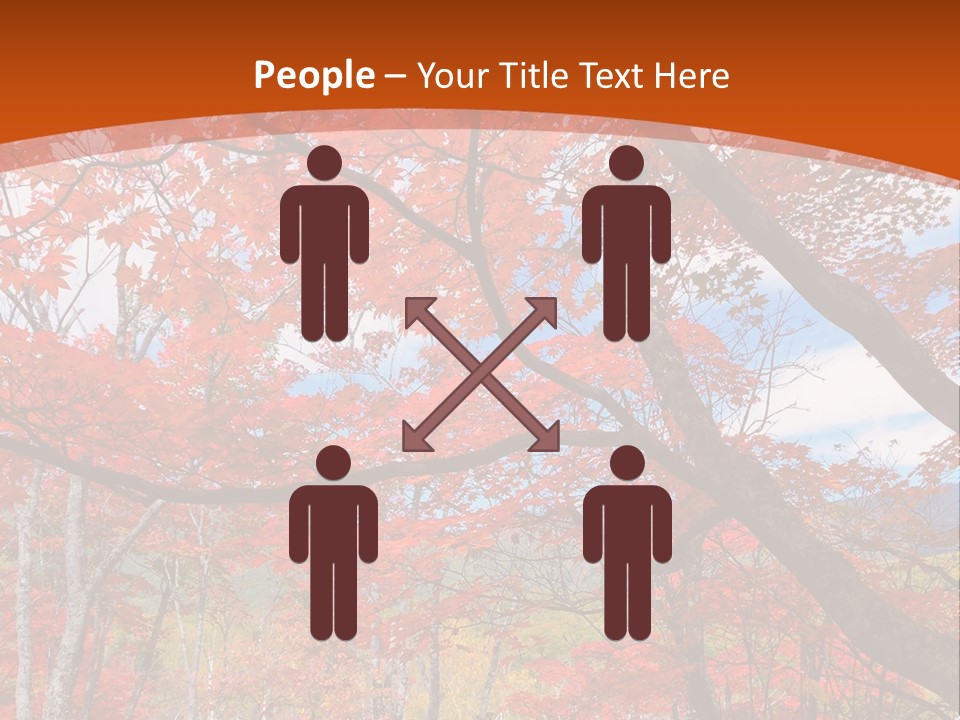 Pond Japanese Maple Orange PowerPoint Template