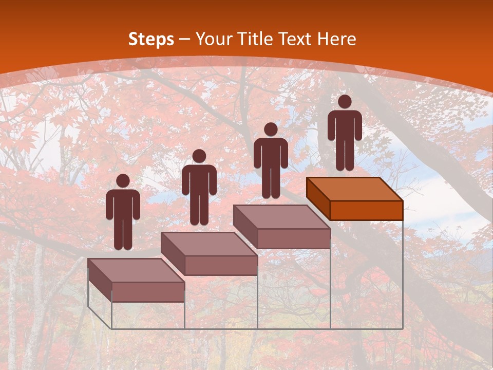 Pond Japanese Maple Orange PowerPoint Template