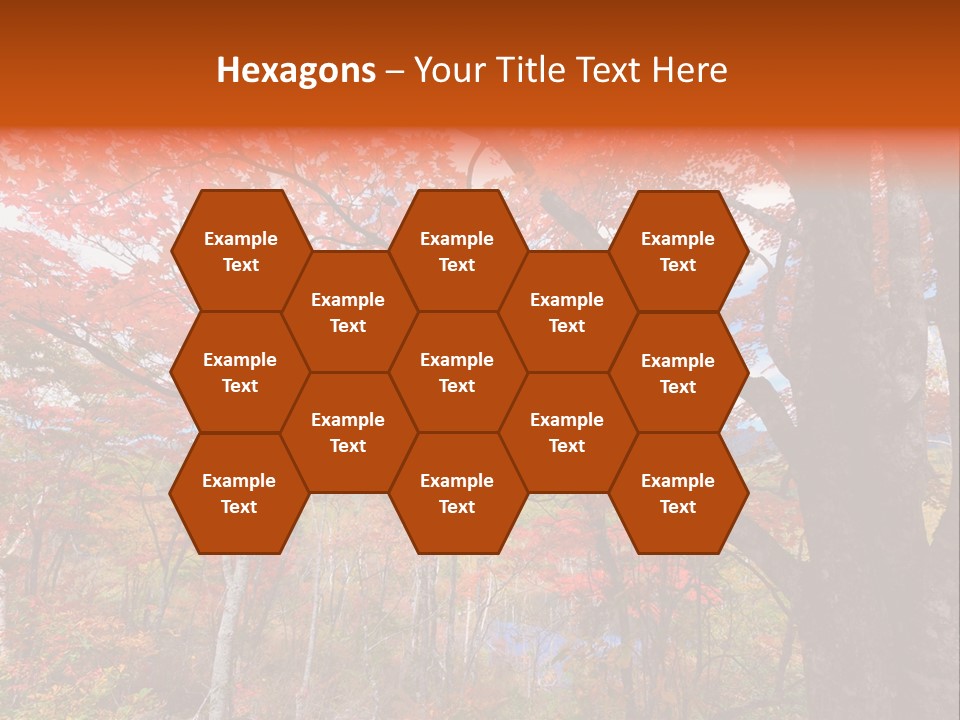 Leaf Branch Forest PowerPoint Template