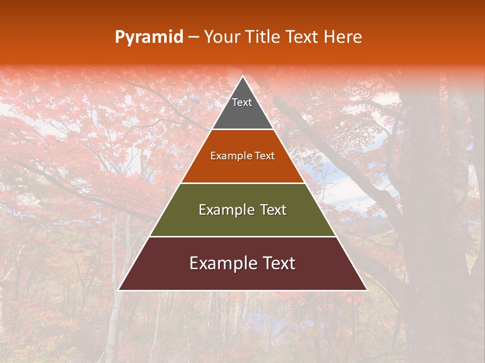 Leaf Branch Forest PowerPoint Template