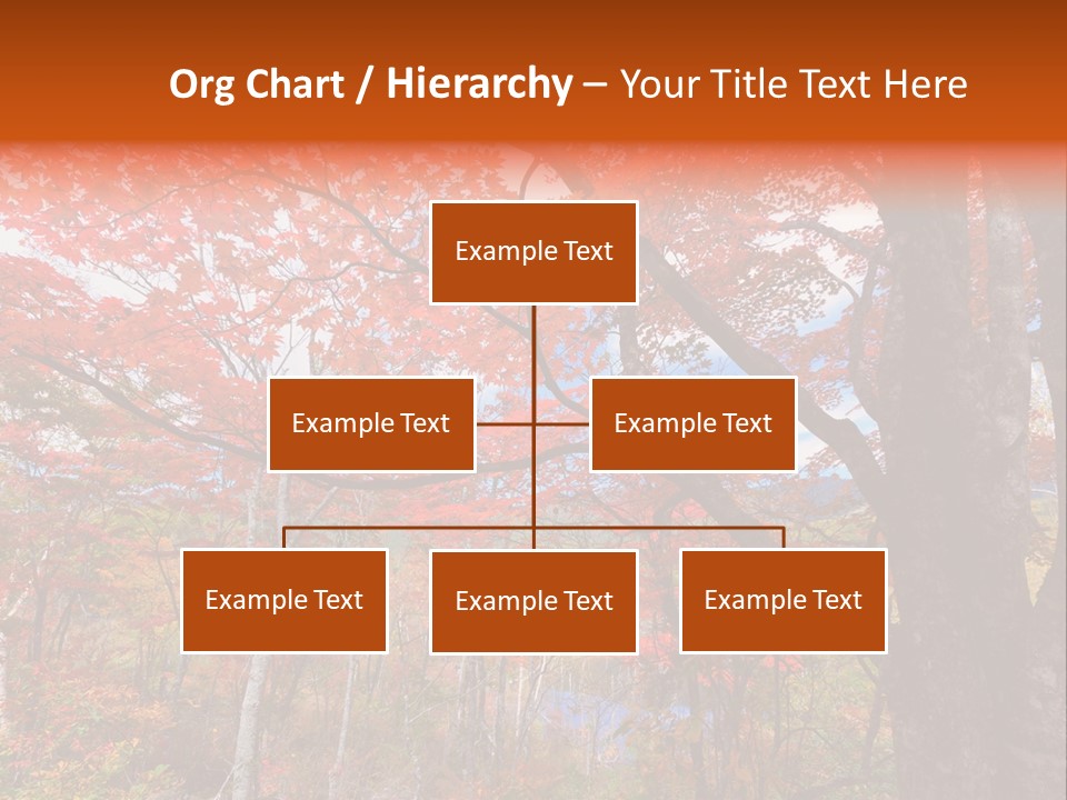 Leaf Branch Forest PowerPoint Template