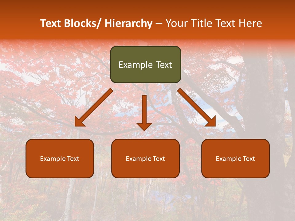 Leaf Branch Forest PowerPoint Template