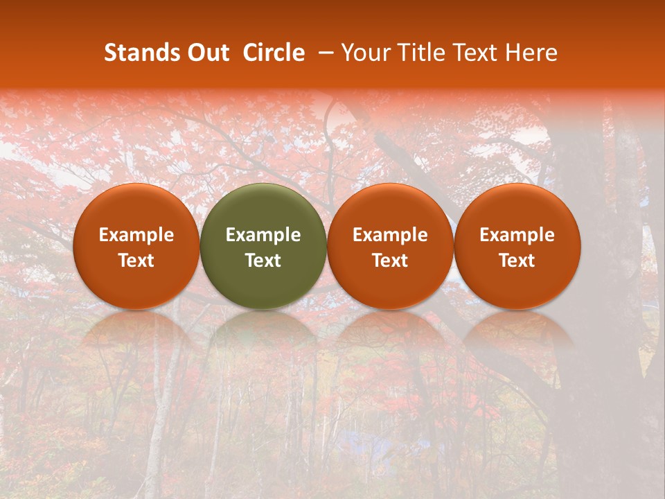 Leaf Branch Forest PowerPoint Template