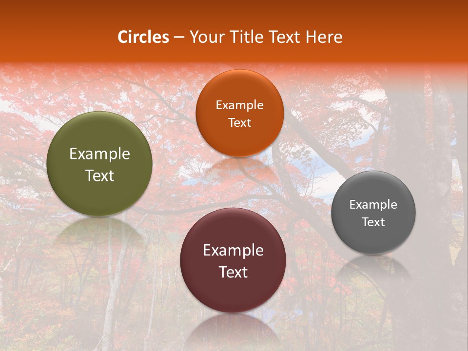 Leaf Branch Forest PowerPoint Template