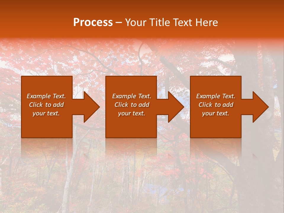 Leaf Branch Forest PowerPoint Template