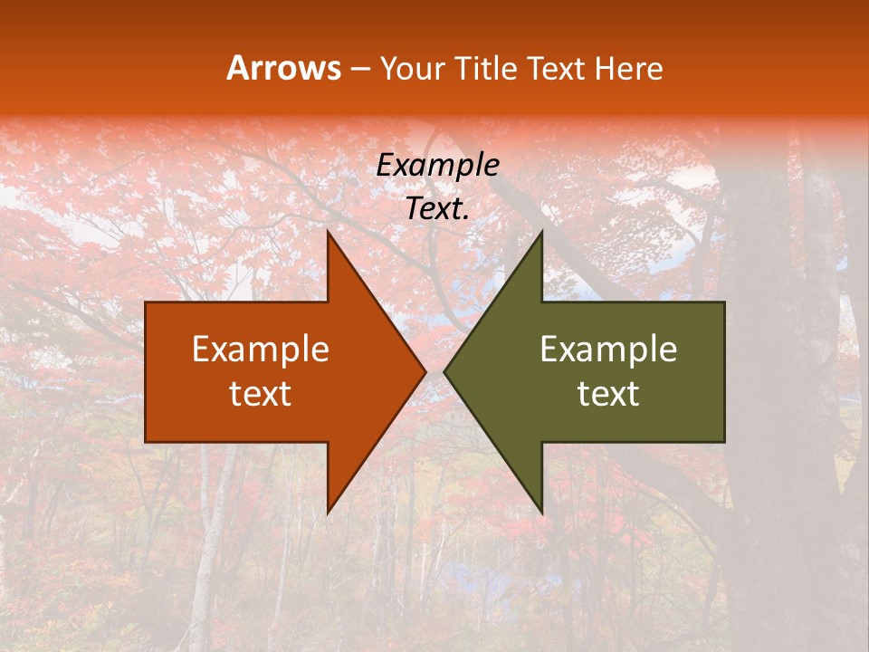 Leaf Branch Forest PowerPoint Template