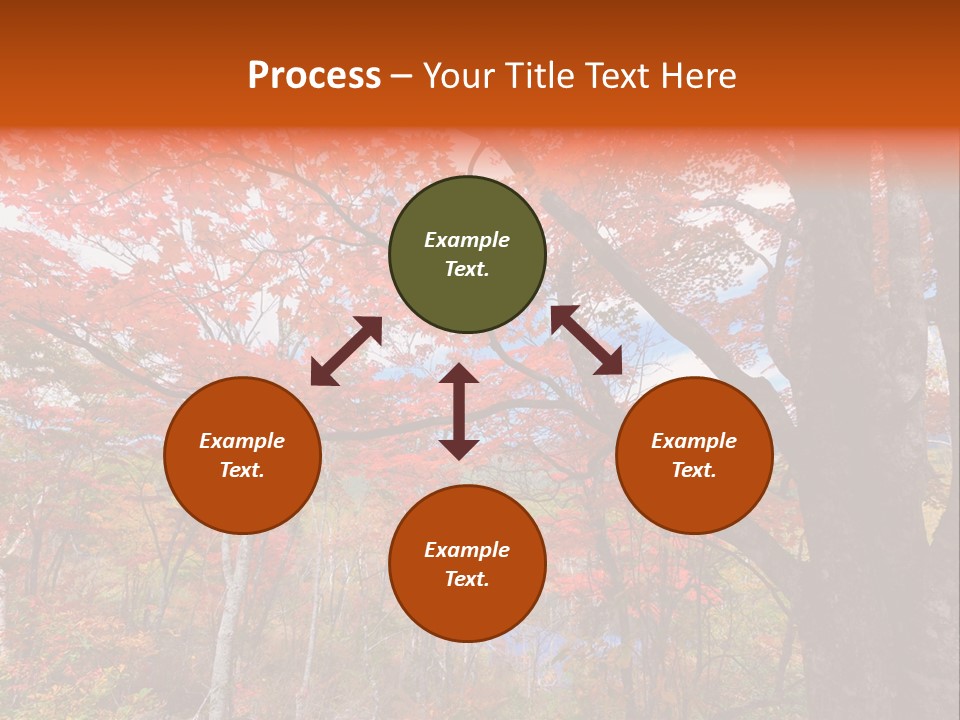Leaf Branch Forest PowerPoint Template