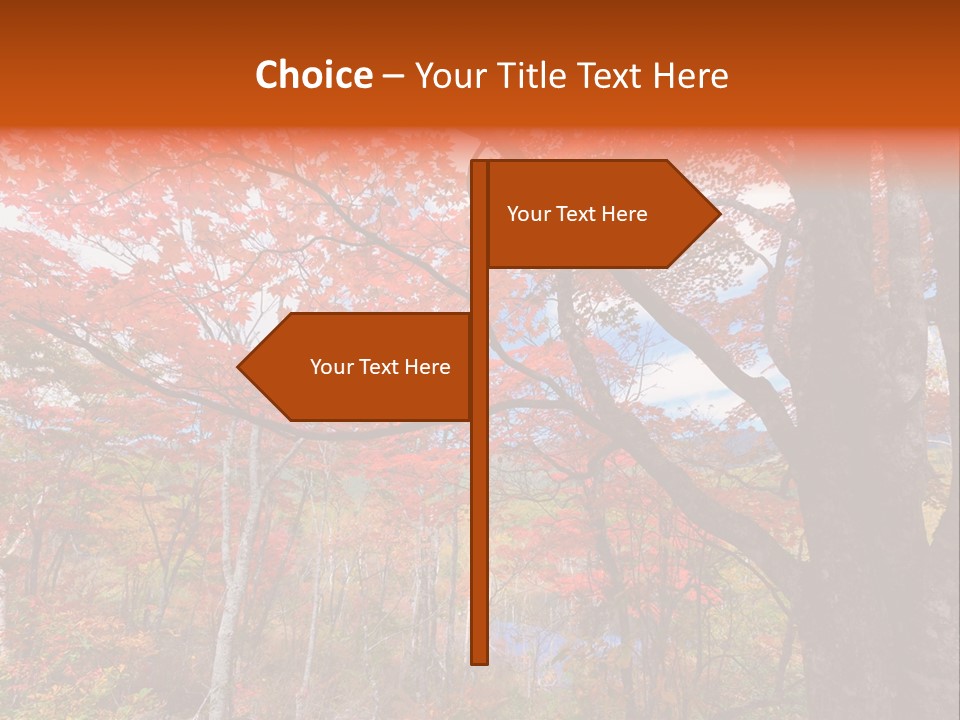 Leaf Branch Forest PowerPoint Template