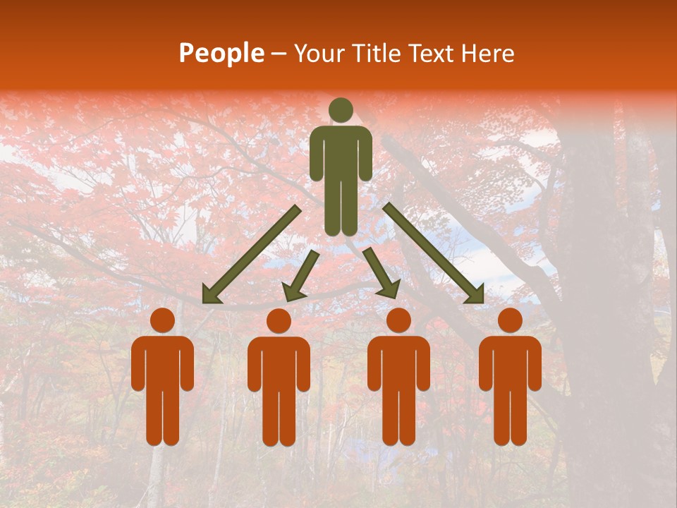 Leaf Branch Forest PowerPoint Template