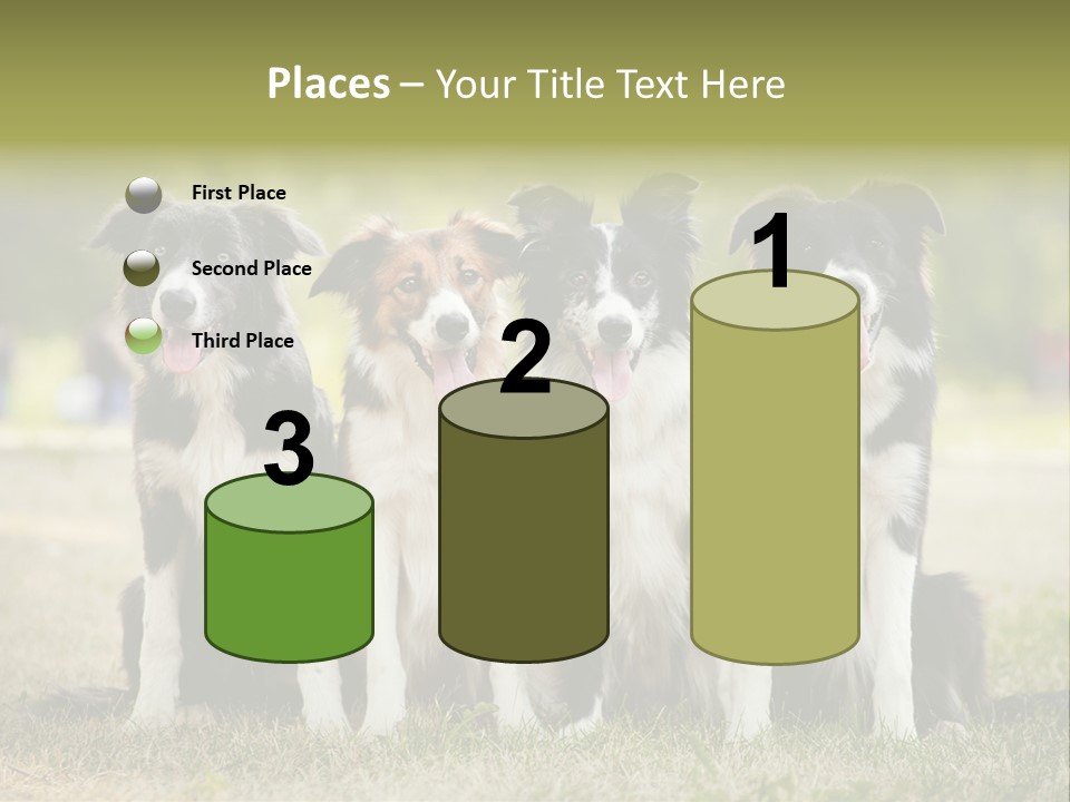 Background Hair Freedom PowerPoint Template