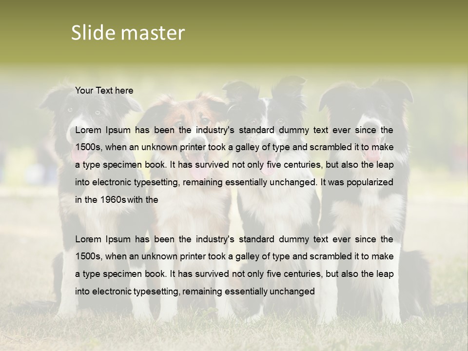 Background Hair Freedom PowerPoint Template