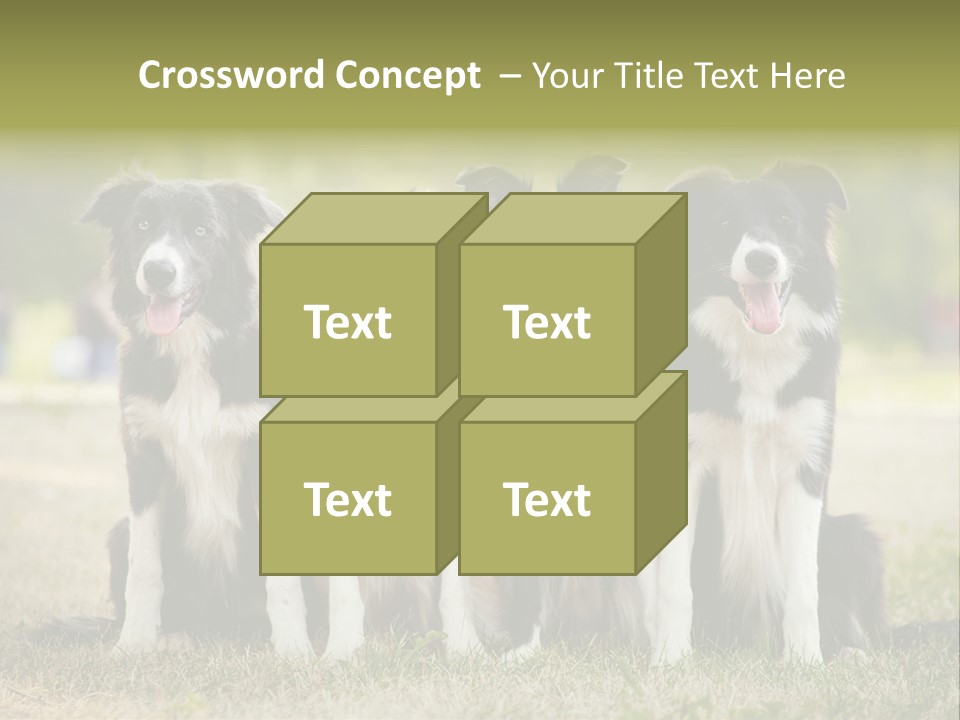 Background Hair Freedom PowerPoint Template