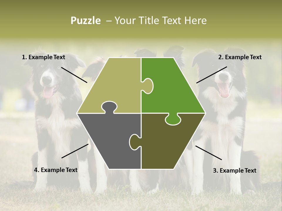 Background Hair Freedom PowerPoint Template