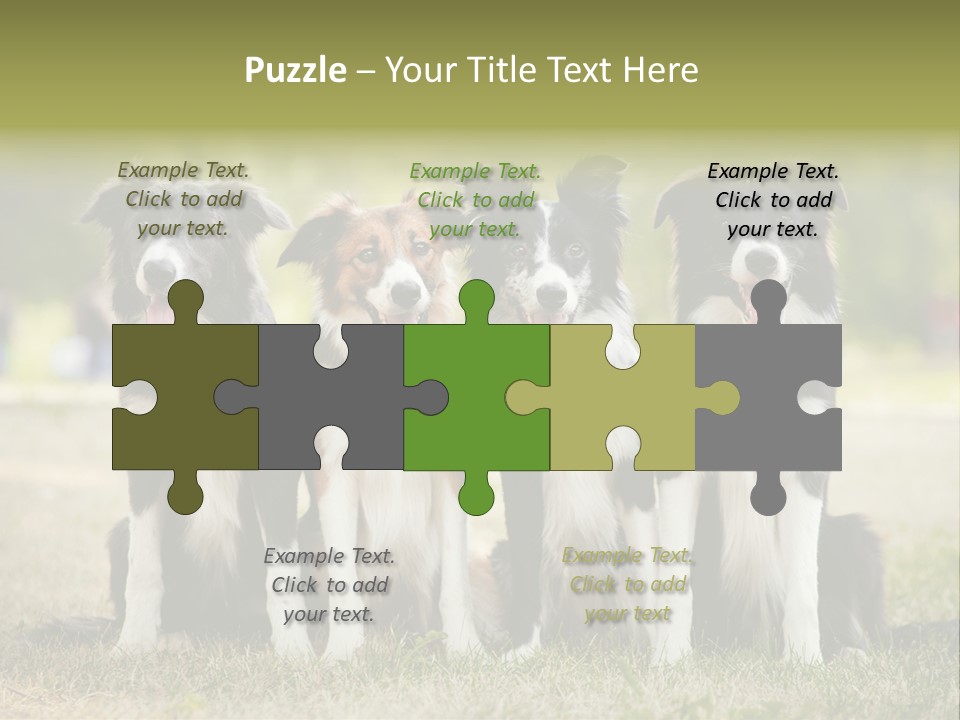 Background Hair Freedom PowerPoint Template