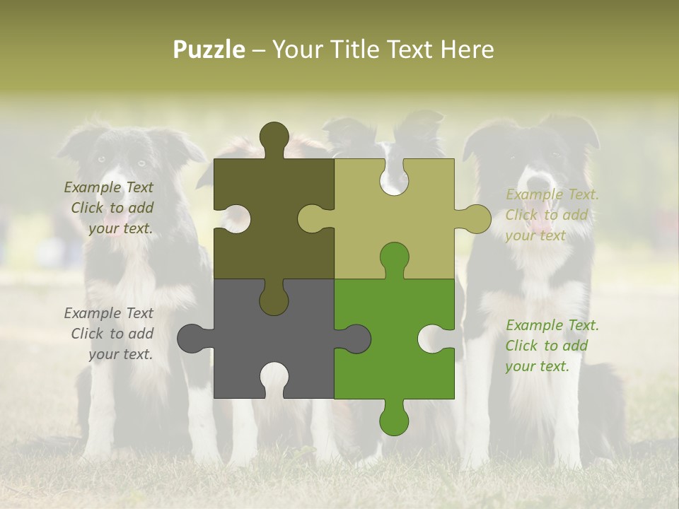 Background Hair Freedom PowerPoint Template