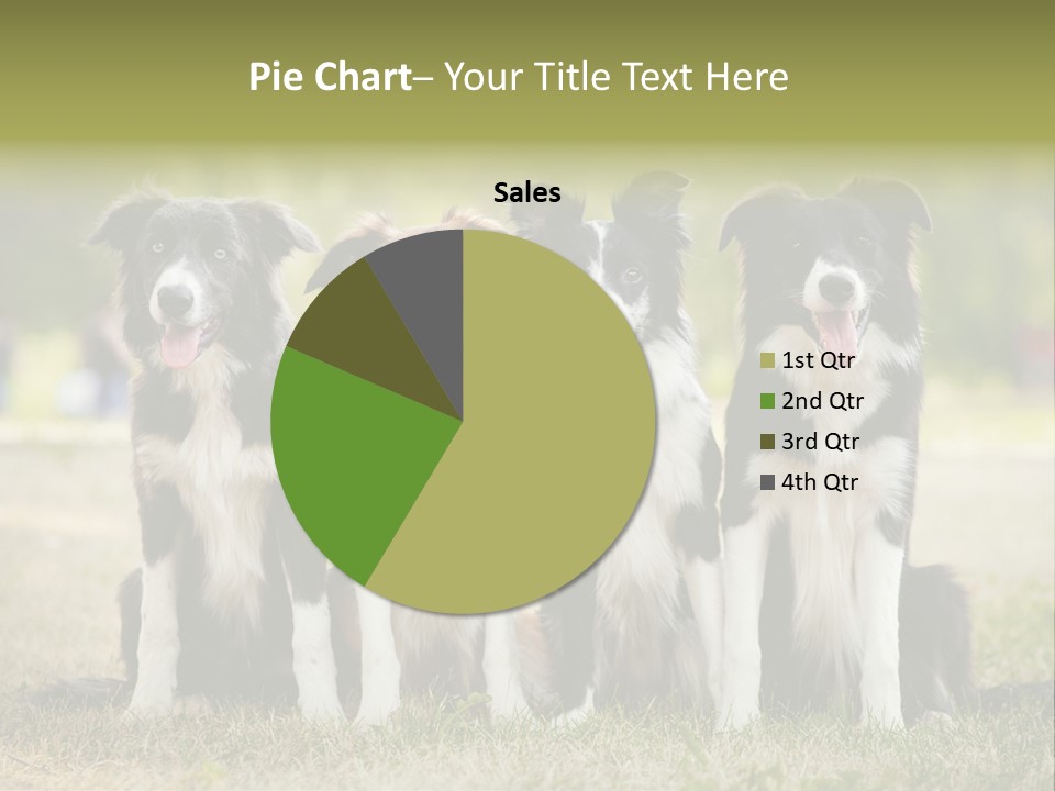 Background Hair Freedom PowerPoint Template