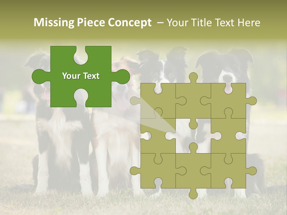 Background Hair Freedom PowerPoint Template