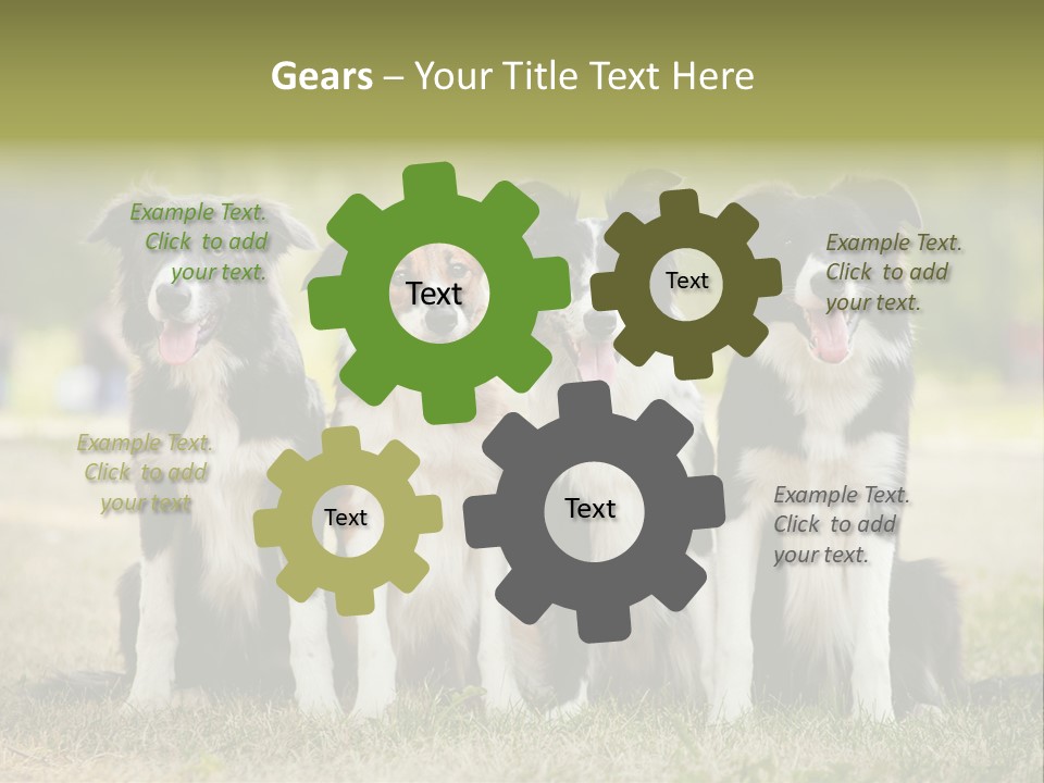 Background Hair Freedom PowerPoint Template