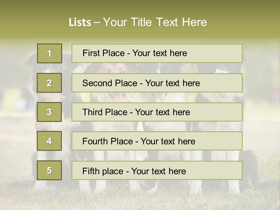 Background Hair Freedom PowerPoint Template