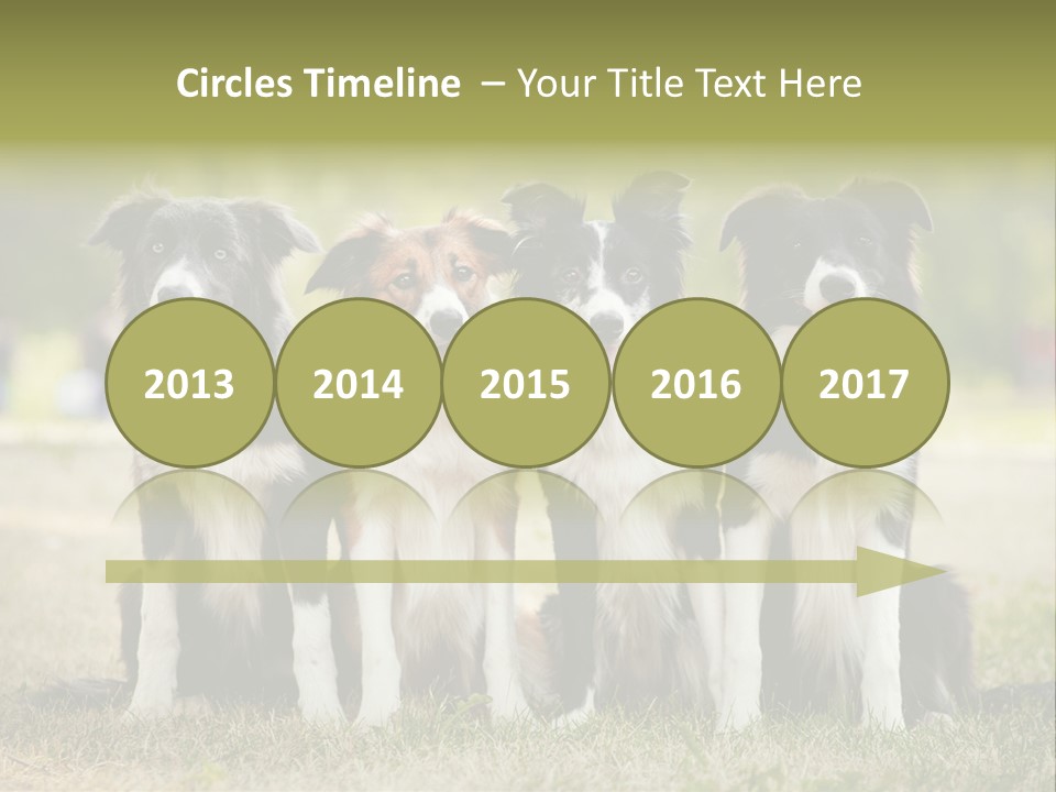 Background Hair Freedom PowerPoint Template