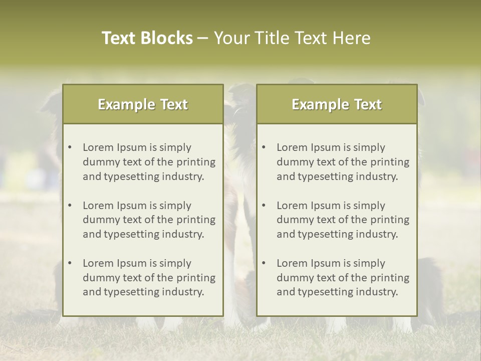 Background Hair Freedom PowerPoint Template