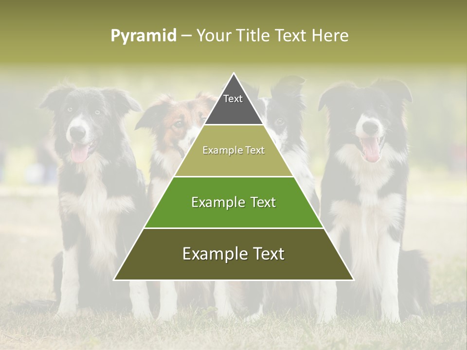 Background Hair Freedom PowerPoint Template