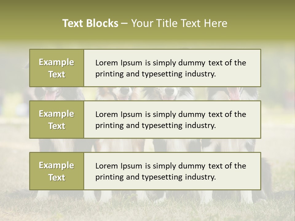 Background Hair Freedom PowerPoint Template