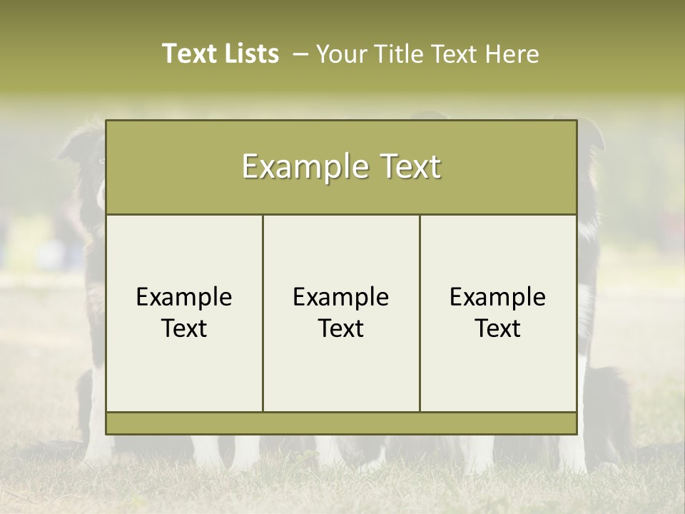 Background Hair Freedom PowerPoint Template