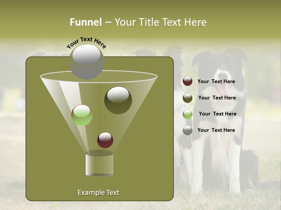 Background Hair Freedom PowerPoint Template