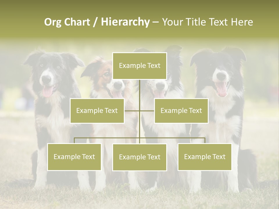 Background Hair Freedom PowerPoint Template