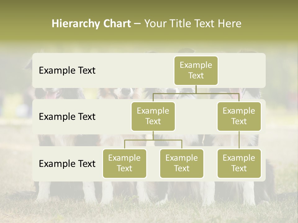 Background Hair Freedom PowerPoint Template