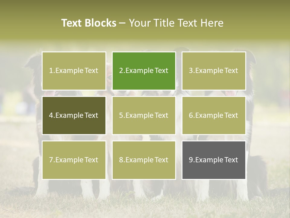 Background Hair Freedom PowerPoint Template