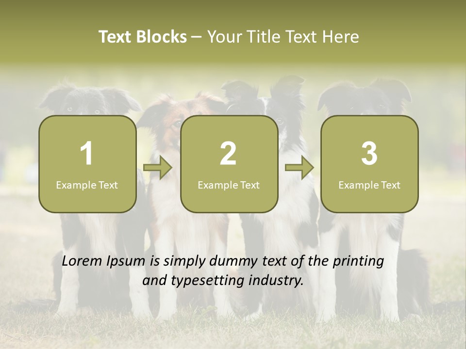 Background Hair Freedom PowerPoint Template