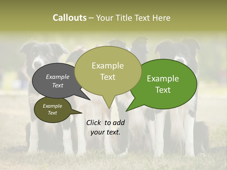 Background Hair Freedom PowerPoint Template