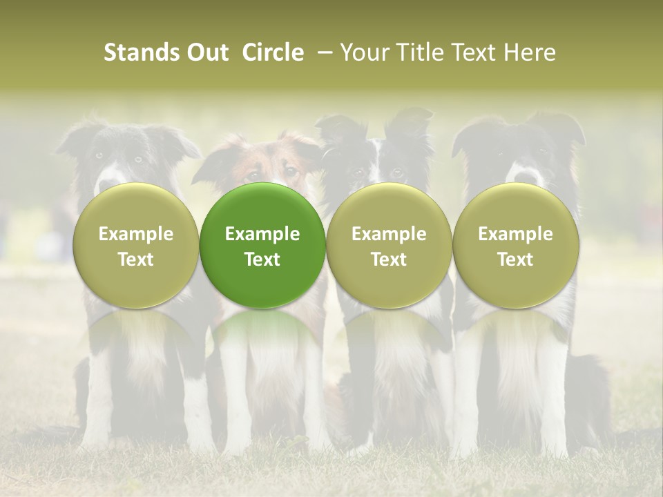 Background Hair Freedom PowerPoint Template