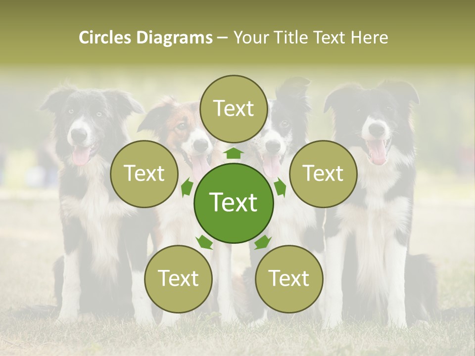 Background Hair Freedom PowerPoint Template