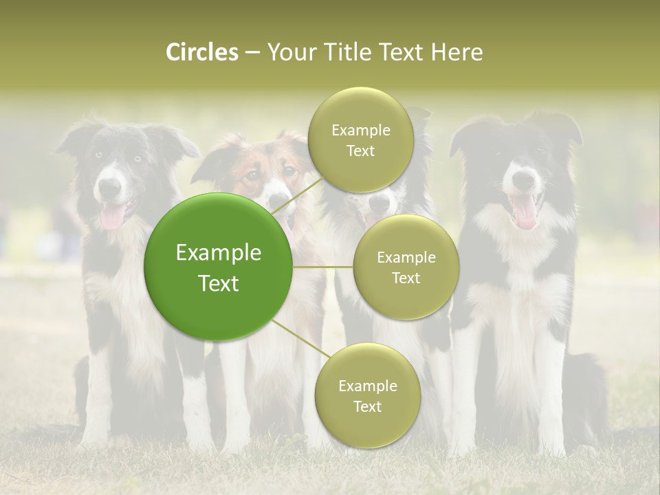 Background Hair Freedom PowerPoint Template