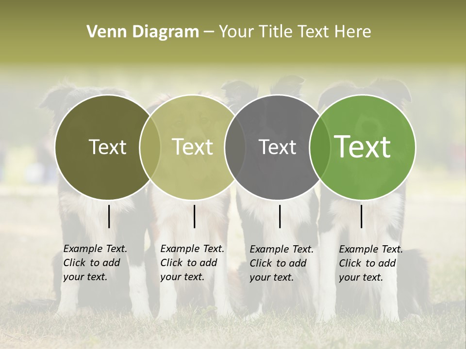 Background Hair Freedom PowerPoint Template