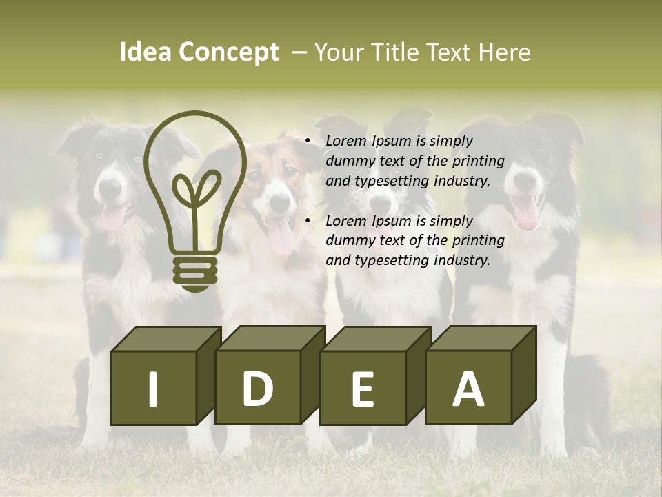 Background Hair Freedom PowerPoint Template