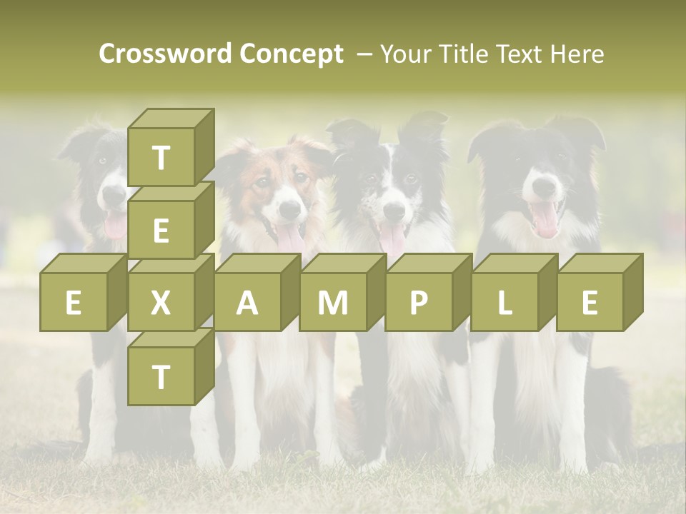 Background Hair Freedom PowerPoint Template