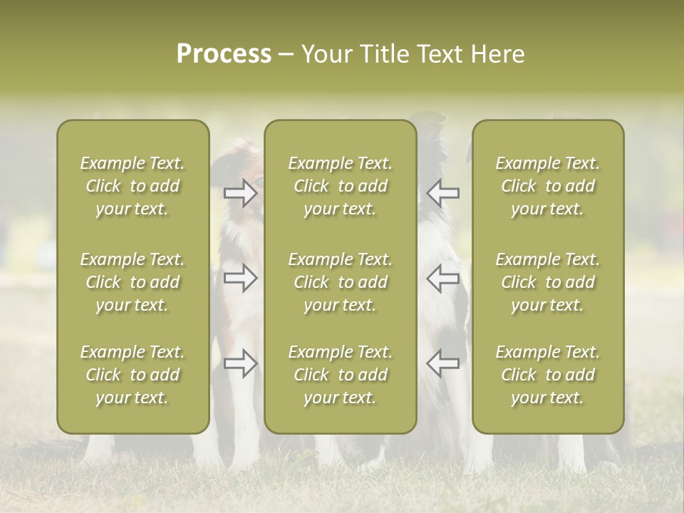 Background Hair Freedom PowerPoint Template