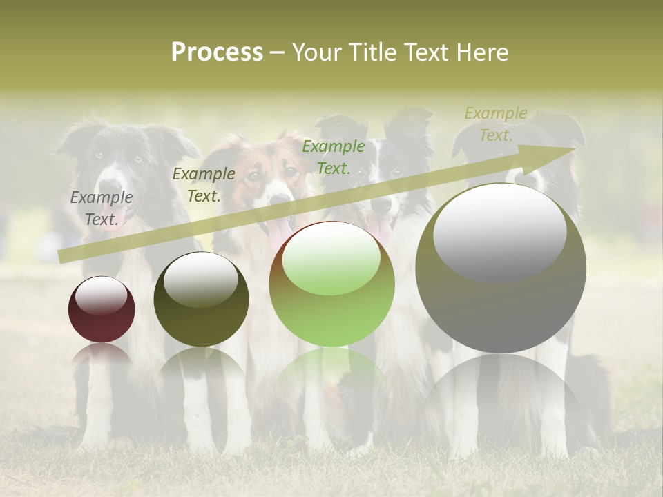 Background Hair Freedom PowerPoint Template