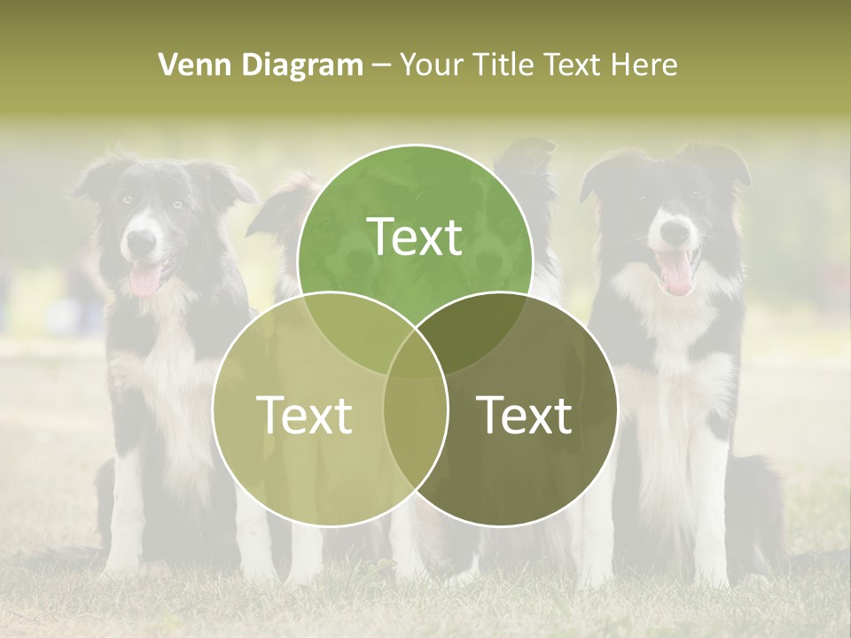 Background Hair Freedom PowerPoint Template