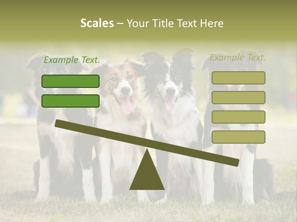 Background Hair Freedom PowerPoint Template