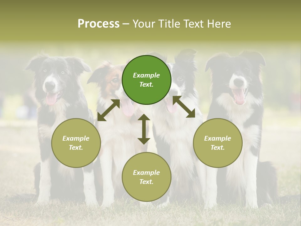 Background Hair Freedom PowerPoint Template