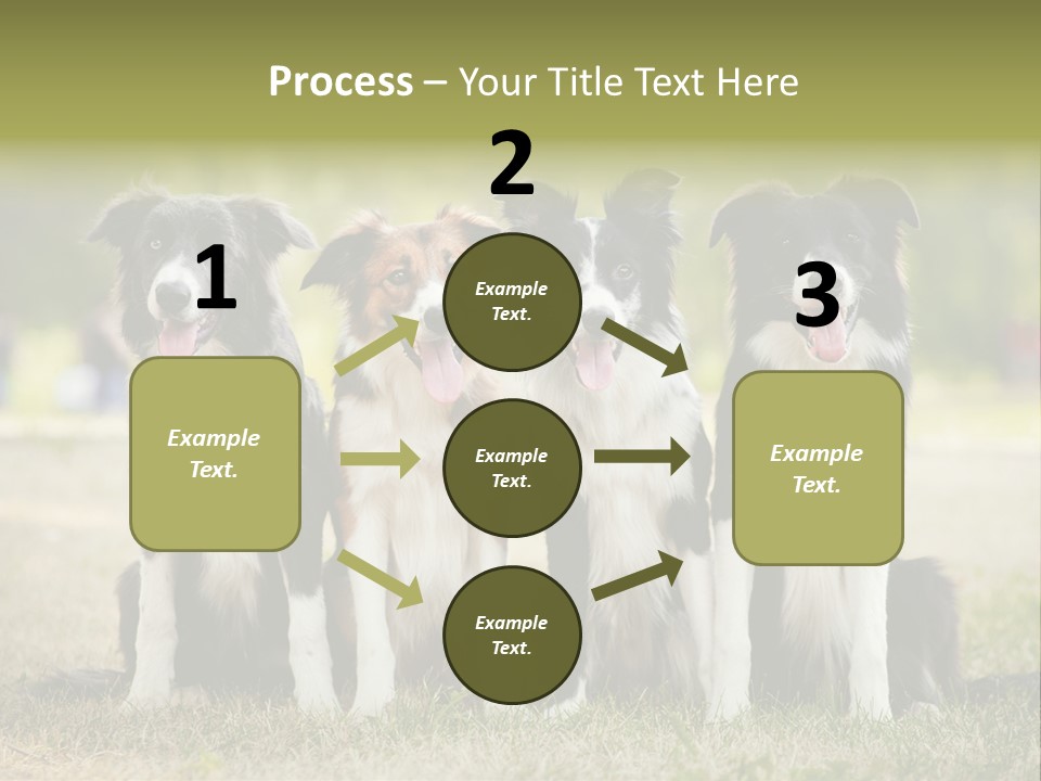 Background Hair Freedom PowerPoint Template