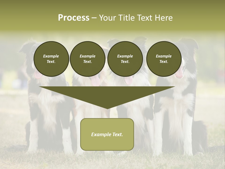 Background Hair Freedom PowerPoint Template