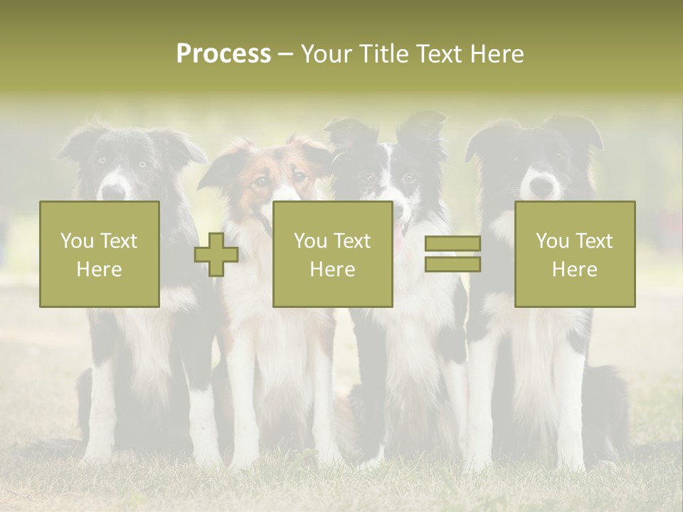 Background Hair Freedom PowerPoint Template